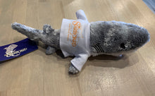 Stuffed Sharks